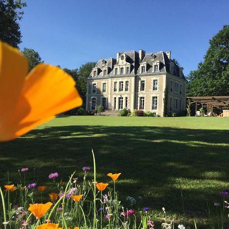 Chateau Des Essards Avec Piscine Et Jacuzzi Langeais Dış mekan fotoğraf